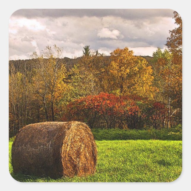 Adesivo Quadrado Colheita de outono (Frente)