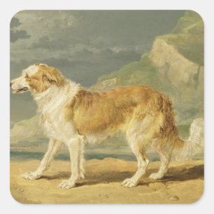 Adesivo Quadrado Collie Áspero-revestido, 1809 (óleo a bordo)