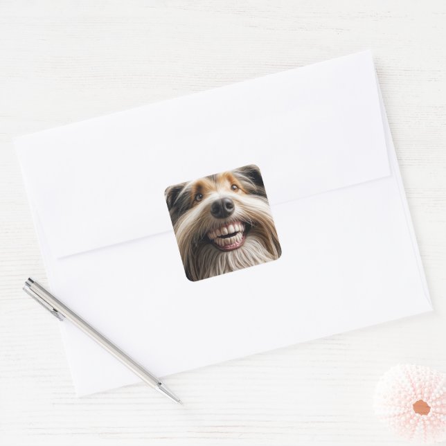 Adesivo Quadrado Collie com um dente (Envelope)