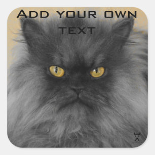 Adesivo Quadrado Coloque-o no seu...