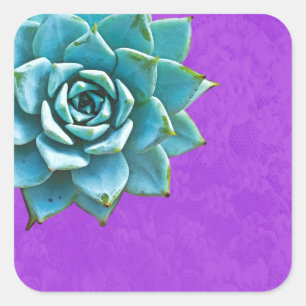 Adesivo Quadrado Coloração d'água Suculta Roxo