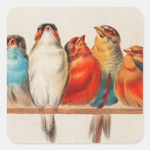 Colorful vintage illustration of five little birds