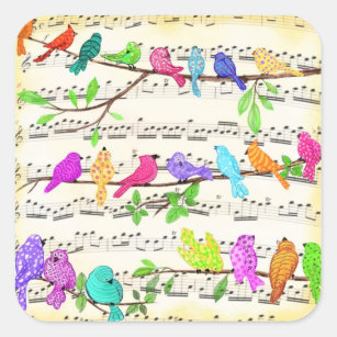 Adesivo Quadrado Colorida Musical Birds Sticker Primavera