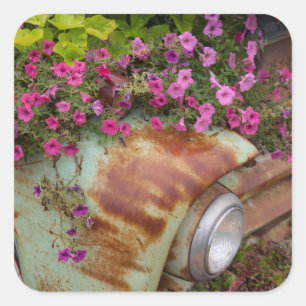 Adesivo Quadrado Columbia Falls