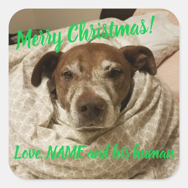 Adesivo Quadrado Com a Bullet do Amor e o Seu Humano (Frente)