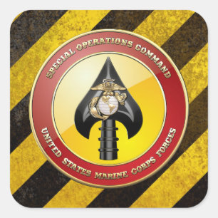Adesivo Quadrado Comando de operações especiais do USMC (MARSOC)