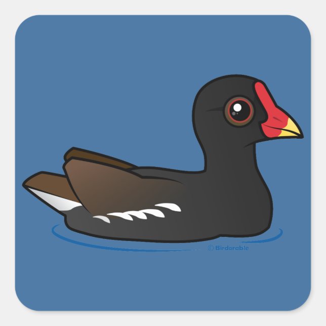 Adesivo Quadrado Common Moorhen (Frente)