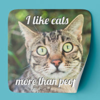 Como gatos mais do que gatos de olhos verdes pesso