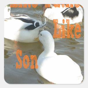 Adesivo Quadrado Como Pai Como Filho.