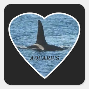 Adesivo Quadrado Comunidade Aquário Orca Costa Oeste Personalizável