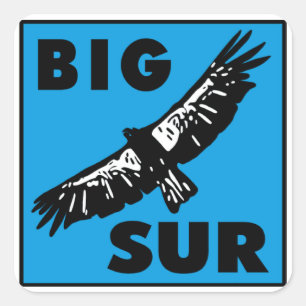 Adesivo Quadrado Condor Azul