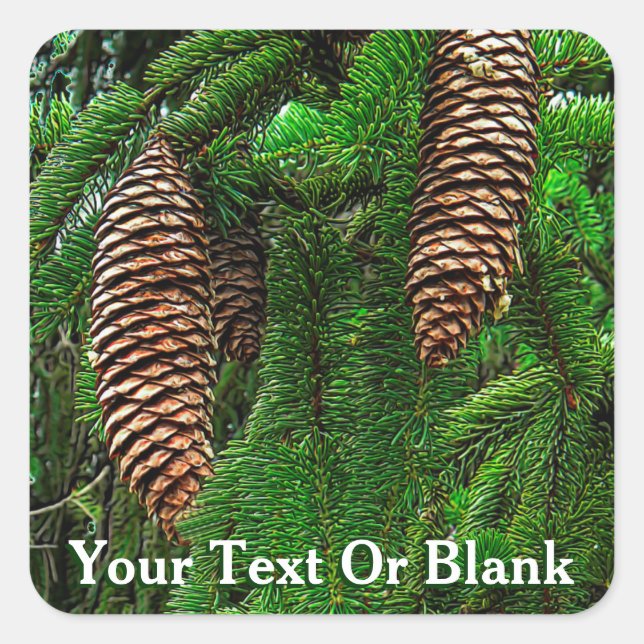 Adesivo Quadrado Cones E Agulhas (Frente)