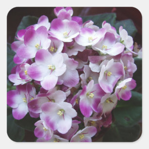 Adesivo Quadrado Conjunto de Flores Bonito