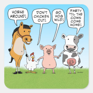 Adesivo Quadrado Conselho engraçado dos animais de partido