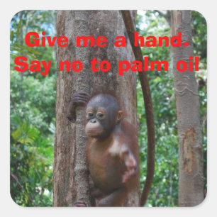 Adesivo Quadrado Conservação Natureza