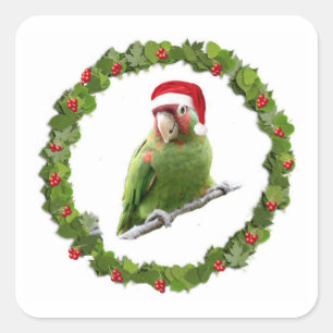 Adesivo Quadrado Conure Christmas Wreath