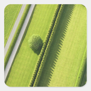 Adesivo Quadrado Conversão no Hamptons