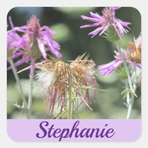 Adesivo Quadrado Corfu Lilac Wildflower