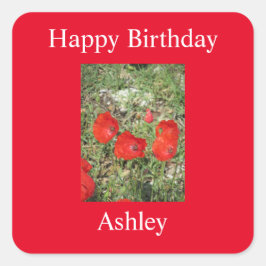 Adesivo Quadrado Corfu Red Poppies Sticker