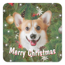 Corgi Christmas