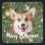 Adesivo Quadrado Corgi Christmas<br><div class="desc">Corgi Christmas</div>