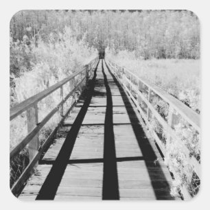 Adesivo Quadrado Corkscrew Swamp Sanctuary, Flórida,