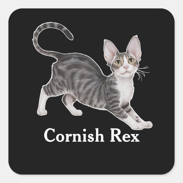 Adesivo Quadrado Cornish Rex (Frente)