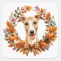 Coroa de Outono Whippet