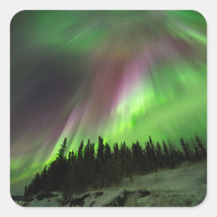 Adesivo Quadrado Corona Aurora