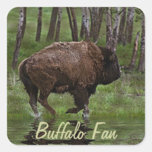 Adesivo Quadrado Correndo de Buffalo e Floresta, Design de Bison-lo