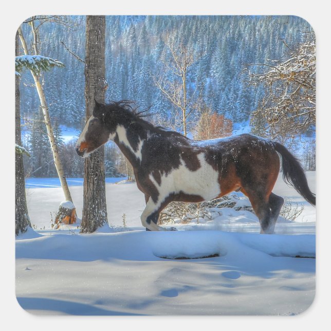 Adesivo Quadrado Correndo Pinto Paint Stallion em Winter Snows Phot (Frente)