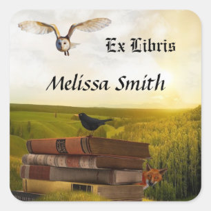 Adesivo Quadrado Coruja E Livros Adicionar Nome Ex Libris