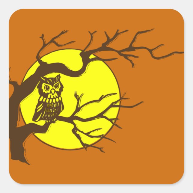 Adesivo Quadrado Coruja e Lua (Frente)