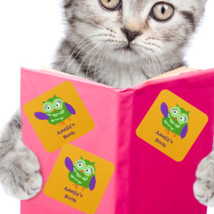 Adesivo Quadrado Coruja Personalizada Este Livro Pertence