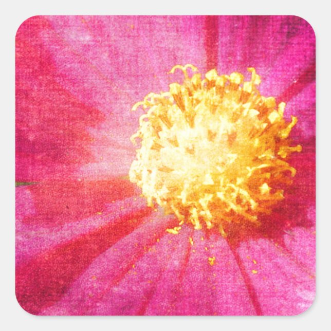 Adesivo Quadrado Cosmo Flower (Frente)