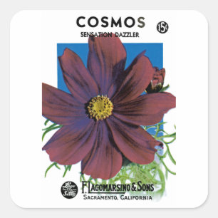 Adesivo Quadrado Cosmos