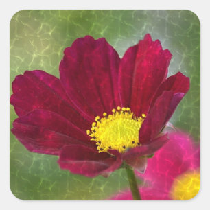 Adesivo Quadrado Cosmos Shimmering