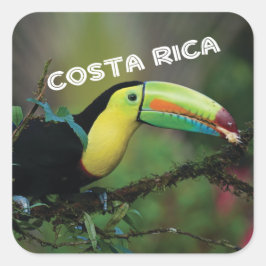 Adesivo Quadrado Costa Rica com tucano colorido