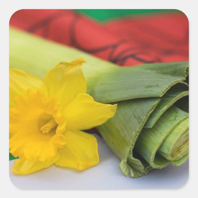 Adesivo Quadrado Costume Leek-Welsh (Frente)