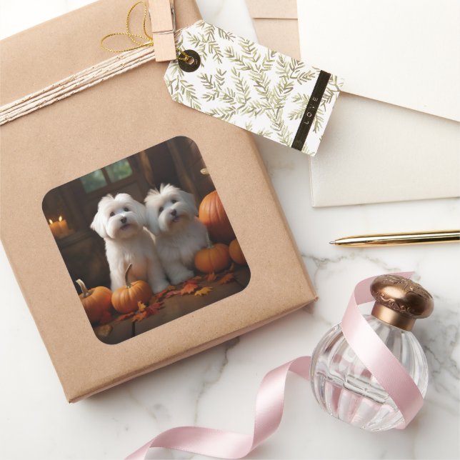 Adesivo Quadrado Coton De Tulear Puppy Autumn Delight Pumpkin (Presentear)