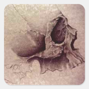 Adesivo Quadrado crânios