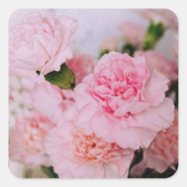 Adesivo Quadrado cravos rosa flores estilo vintage fotografia