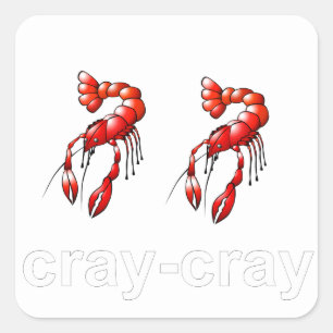 Adesivo Quadrado Cray Cray
