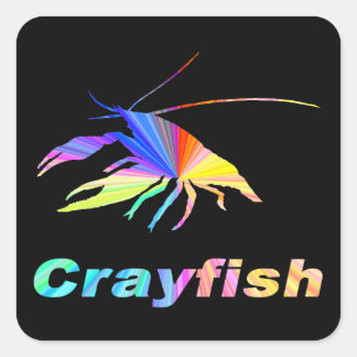 Adesivo Quadrado Crayfish-24