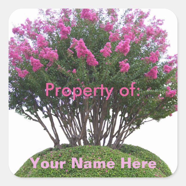 Adesivo Quadrado Crepe Myrtle Mound - Propriedade de: (Frente)