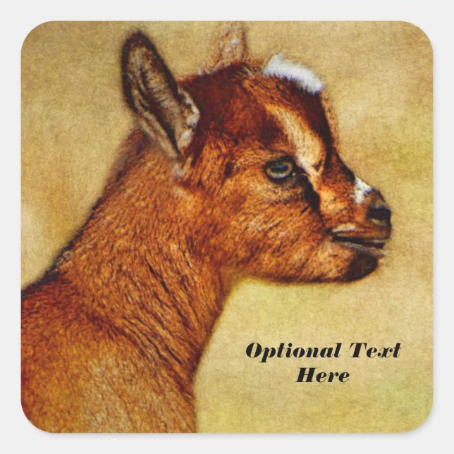 Adesivo Quadrado Criança de Cabra Leiteira Nigeriana Personalizada (Frente)