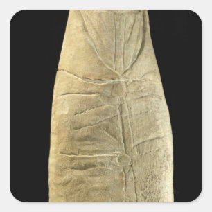 Adesivo Quadrado Criança na roupa swaddling