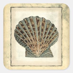 Adesivo Quadrado Criaturas marítimas da costa