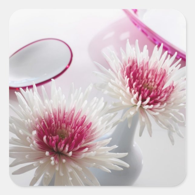 Adesivo Quadrado Crisântemos (Frente)