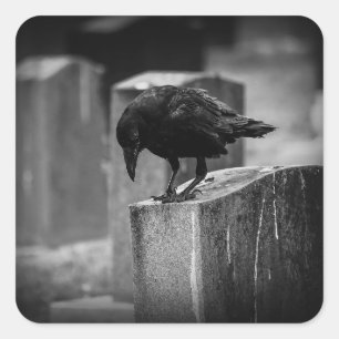 Adesivo Quadrado Crow do Cemitério de Queda